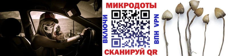 Галлюциногенные грибы GOLDEN TEACHER  где продают   Чёрмоз 